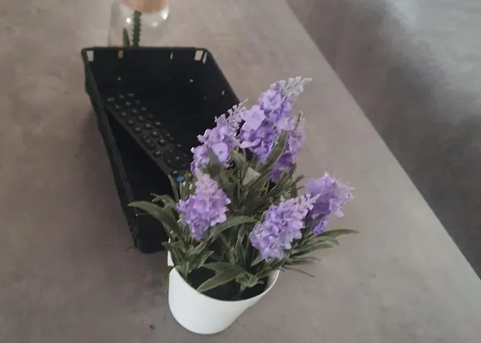 Center Apartment Graz